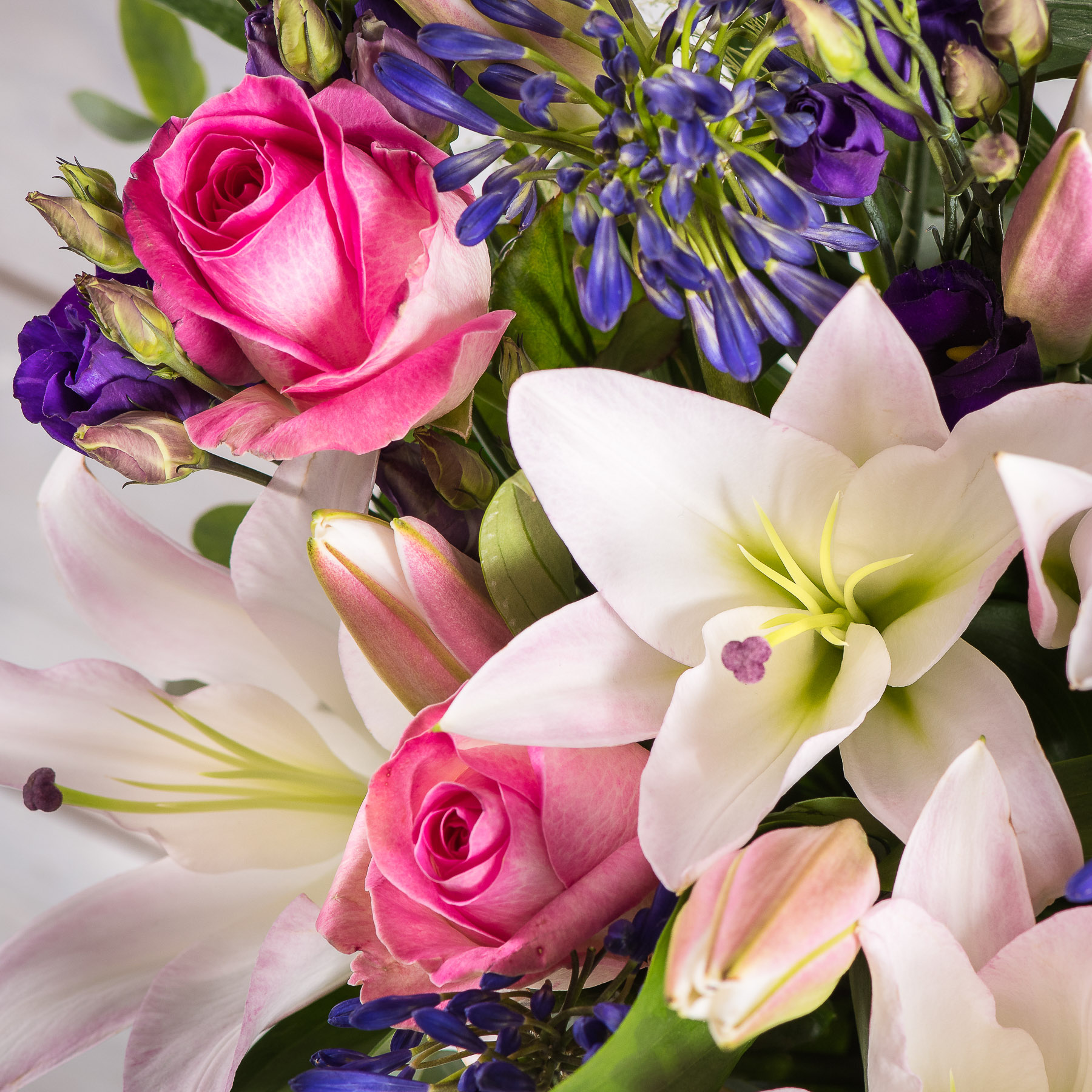 Product Photography Morrisons Flowerworld Case Study